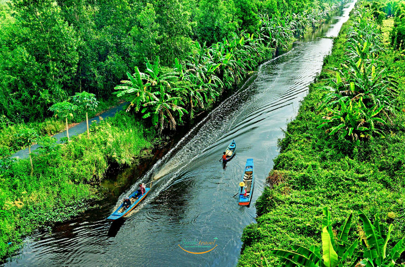 Du khách không nên bỏ lỡ trải nghiệm chèo thuyền trên sông tại rừng U Minh Hạ