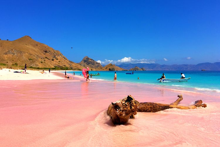 Đảo Flores là điểm đến siêu hot của du lịch Indonesia với những bãi cát hồng độc đáo