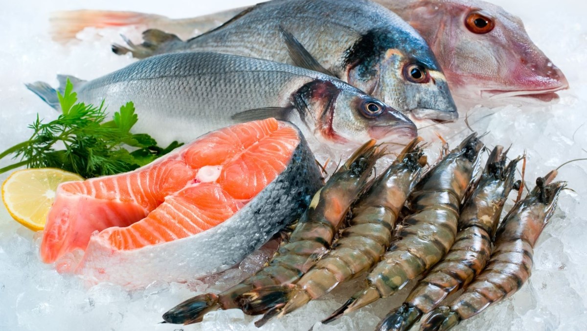 Bạn chỉ nên ăn hải sản tươi sống để đảm bảo an toàn sức khoẻ