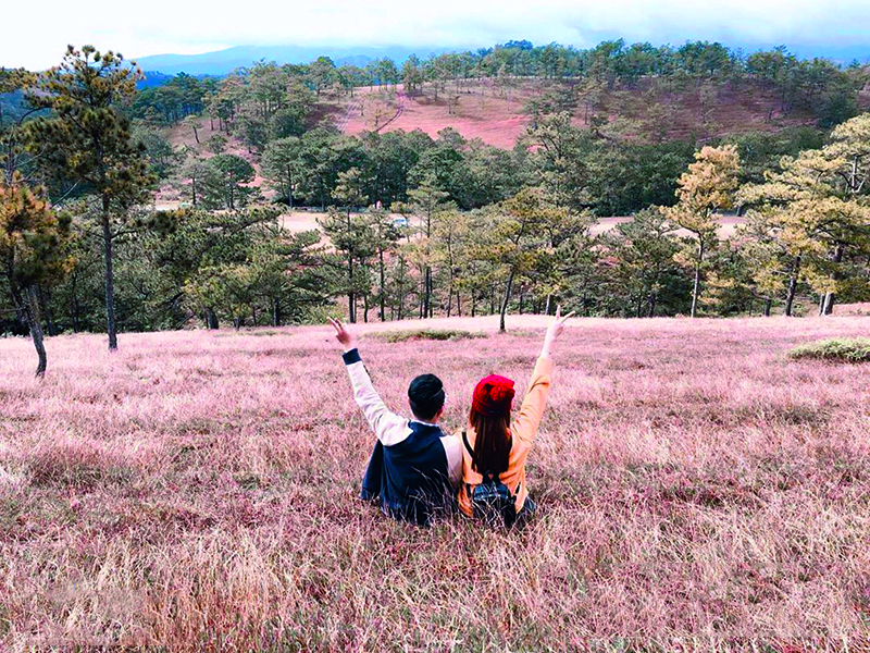 Đồi cỏ hồng tại thung lũng Vàng và khu vực cây thông cô đơn là những điểm du lịch Đà Lạt lý tưởng cho các cặp đôi