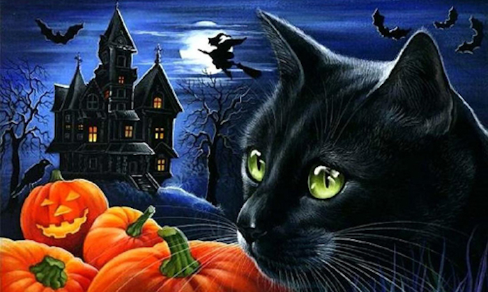 Halloween được tổ chức vào ngày cuối của tháng 10 dương lịch, bắt đầu từ chiều tối 31/10 đến 12h đêm