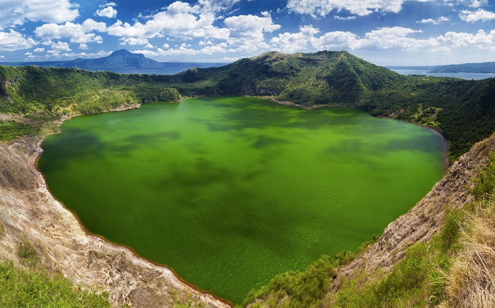 Hồ núi lửa Taal được bao quanh bởi những rừng cây xanh ngát
