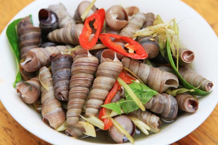 Ốc mút Thanh Hà là món ăn nhất định phải thử khi đi du lịch Thanh Hoá