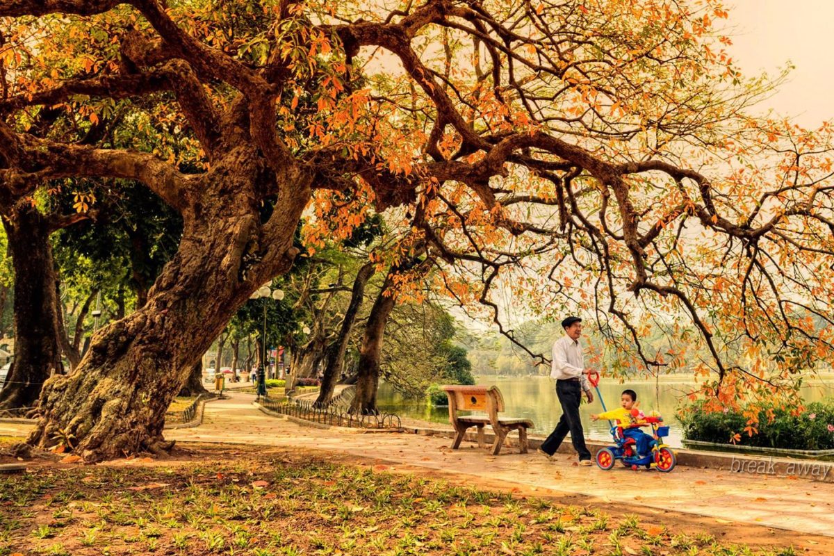 Hà Nội là thành phố giàu bản sắc với lịch sử nghìn năm văn hiến