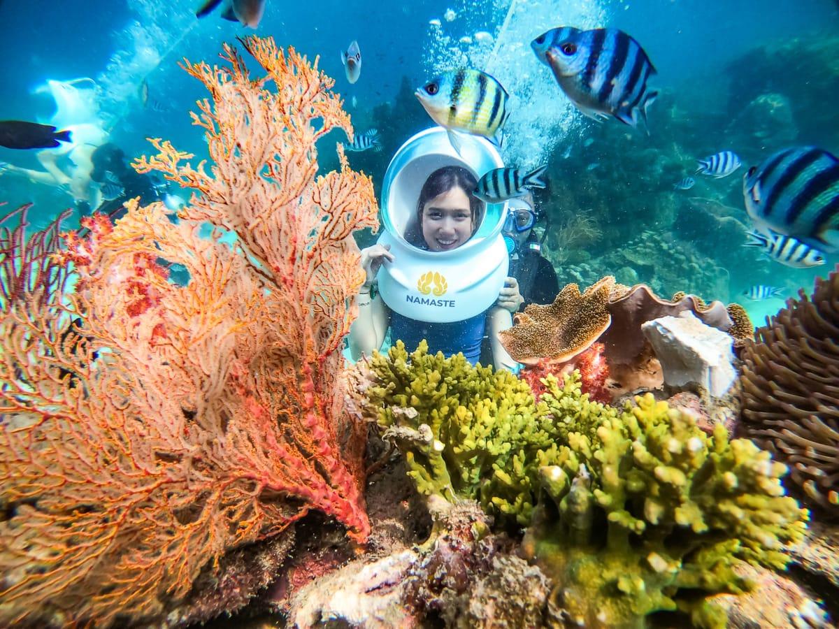 Điểm đến này sở hữu những rạn san hô siêu đẹp, rực rỡ sắc màu