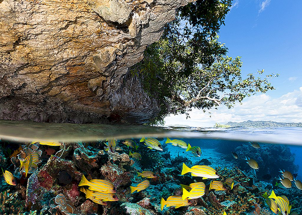 Những bãi biển xanh đẹp tựa tranh vẽ là một trong những nét đẹp tuyệt vời nhất của Raja Ampat.