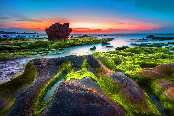 Du khách có thể đến với Bình Thuận vào bất cứ thời điểm nào trong năm