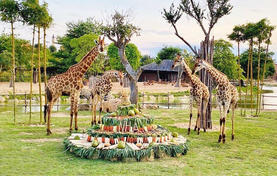 Du khách đến River Safari có cơ hội ngắm nhìn nhiều loài động vật quý hiếm