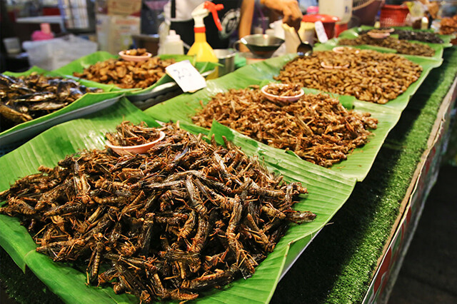 Món ăn này thực chất chứa rất nhiều loại giá trị dinh dưỡng cao và hương vị béo ngậy chứ không đến nỗi “kinh khủng” như nhiều người vẫn thường nghĩ. 