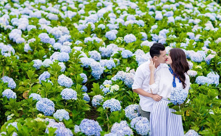 Bạn cùng người thương có thể đi du lịch Đà Lạt vào bất cứ thời điểm nào trong năm