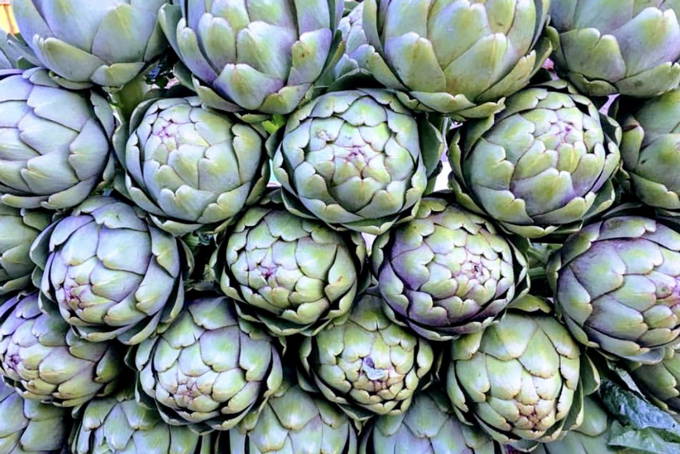 Atiso dạng hoa tươi hay trà đều tốt cho sức khoẻ