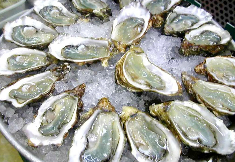 Hàu Hạ Long tươi ngon, ngọt thịt