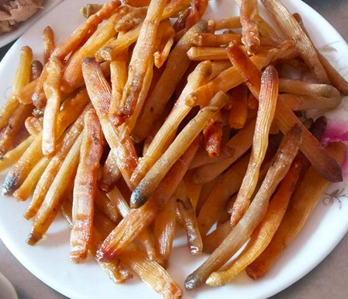 Sá sùng là đặc sản quý hiếm của Hạ Long