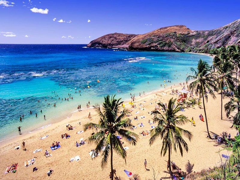 Bãi biển Hawaii