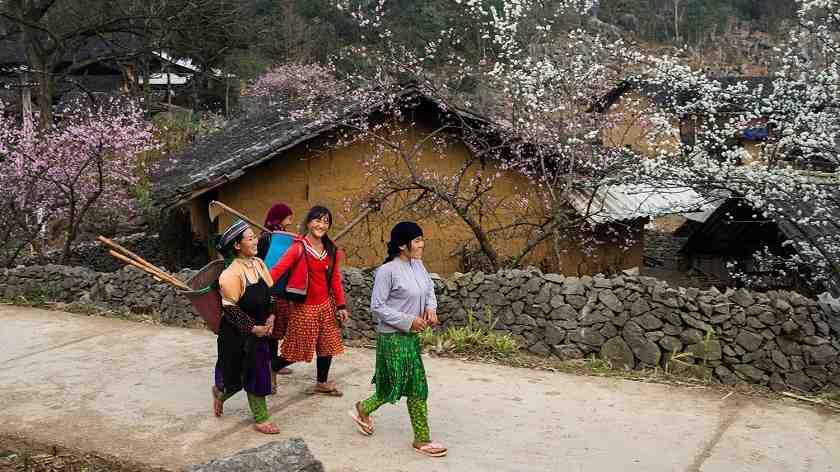 Vùng núi cao của Hà Giang nổi tiếng với sự đa dạng về nét văn hóa đặc sắc