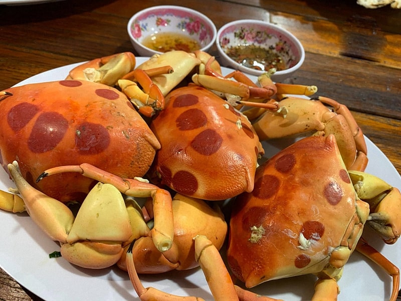 Cua mặt trăng có hình dạng đặc biệt với những vòng tròn màu đỏ đậm trên lưng