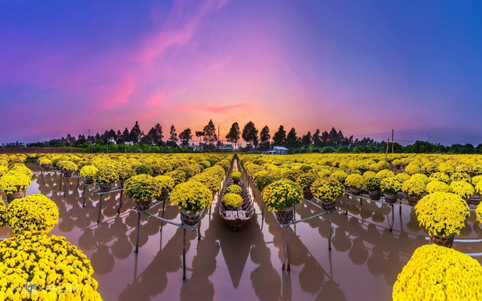 Vốn được mệnh danh là thủ phủ của các loài hoa nên Đồng Tháp là điểm “sống ảo” được giới trẻ yêu thích ghé thăm