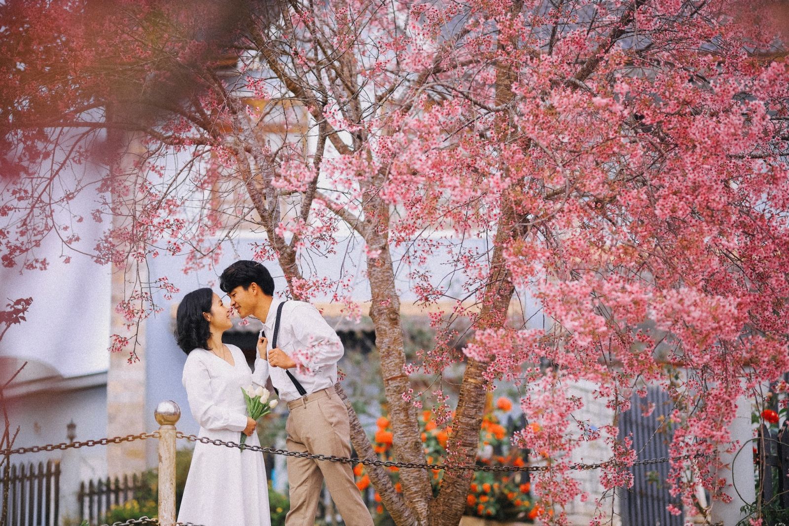 Những cánh hoa mỏng manh kết thành chùm tỏa khắp núi đồi xua đi không khí ảm đạm chốn rừng xanh