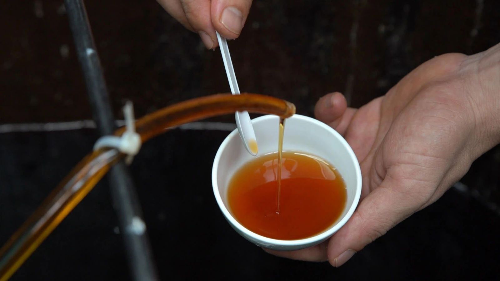 Nước mắm Phú Quốc là đặc sản nổi tiếng mà bạn có thể mang về làm quà cho người thân