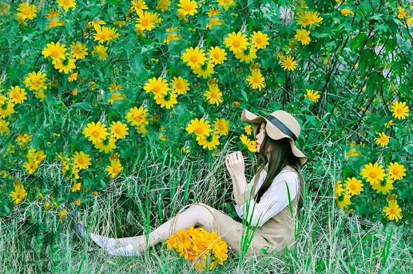 Sắc vàng của hoa dã quỳ ở Đà Lạt tháng 12 khiến các bạn trẻ say đắm