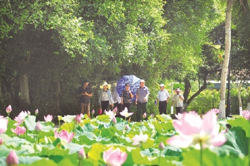 Khung cảnh đầm sen tuyệt đẹp khi vào mùa